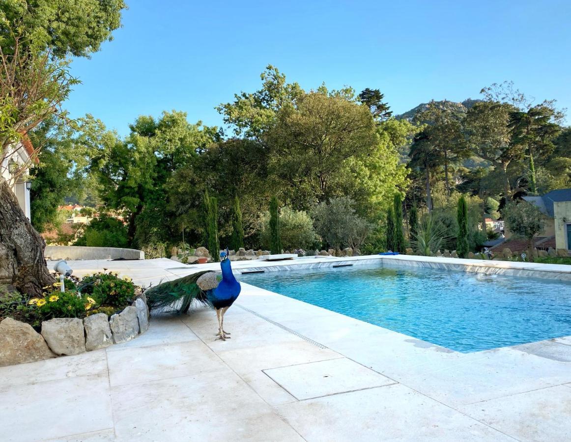 A Capela - A Essencia De Sintra Villa ภายนอก รูปภาพ